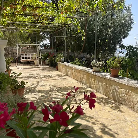 Miranda's & Tatil Evi